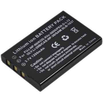Replace Battery for Casio NP-30 UK